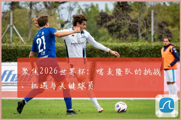 聚焦2026世界杯：喀麦隆队的挑战、机遇与关键球员